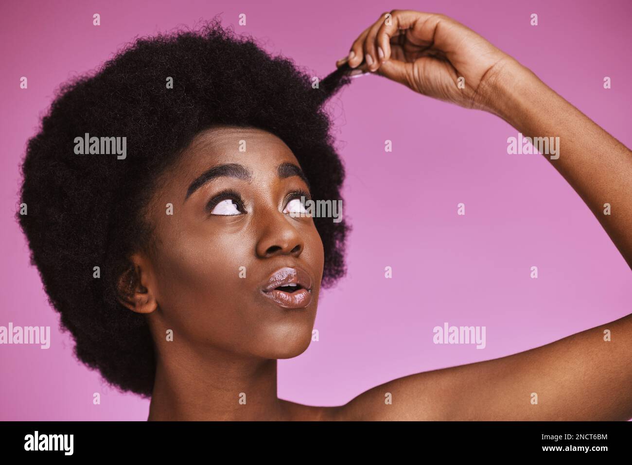 Natural, afro and hair with black woman in studio for beauty, wellness ...