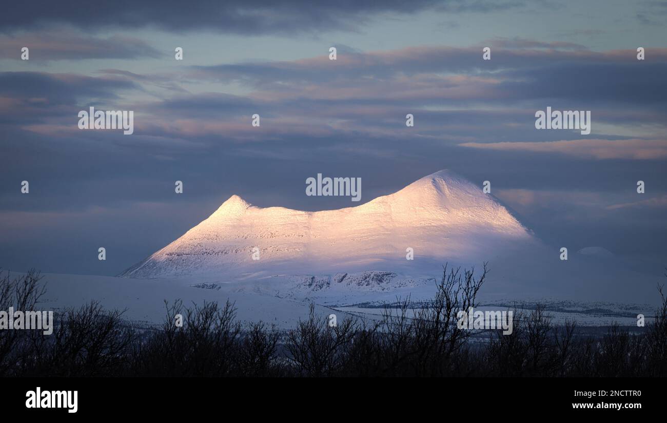 An aerial view of snow covered mountain with trees Stock Photo - Alamy