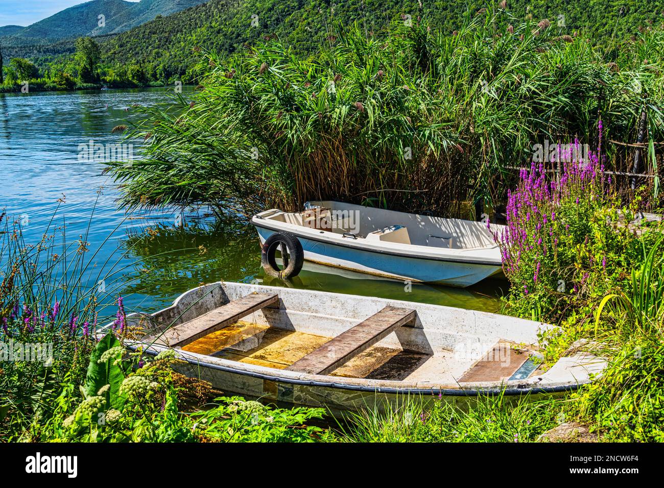 Old small boats, almost sunk, moored to a pier overwhelmed by plants in the Piediluco lake. Lush and colorful nature. Terni, Umbria, Italy Stock Photo