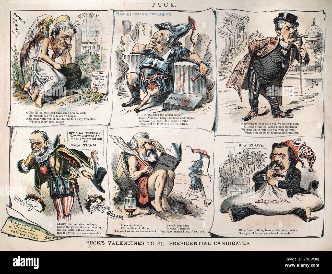 Vintage illustration American satirical cartoon, Candidates for the United States presidential election, 1884, 19th Century Stock Photo