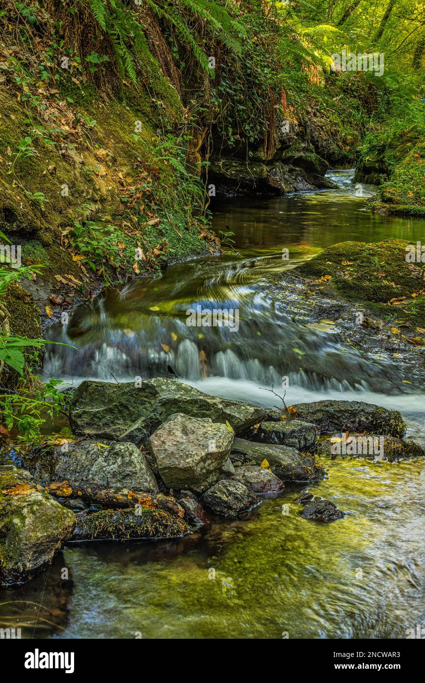 Small water jump of a mountain stream between green mossy rocks and yellow autumn leaves in the forest in November Abruzzo, Italy, Europe Stock Photo