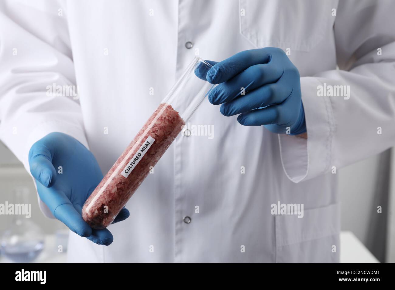 Scientist holding test tube with raw minced cultured meat in laboratory ...