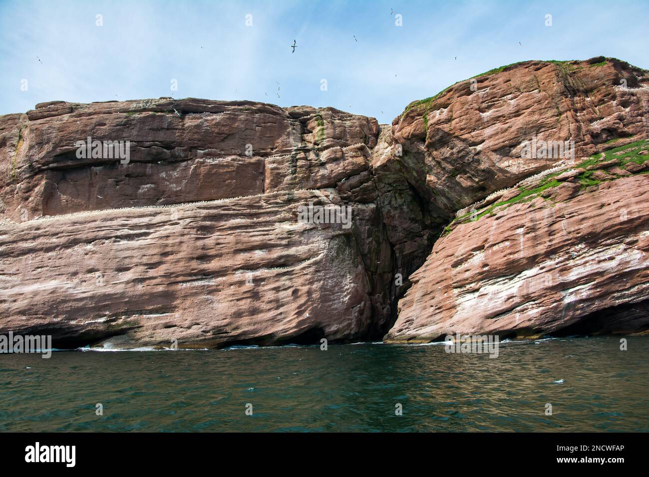 Saint bonaventure hires stock photography and images Alamy