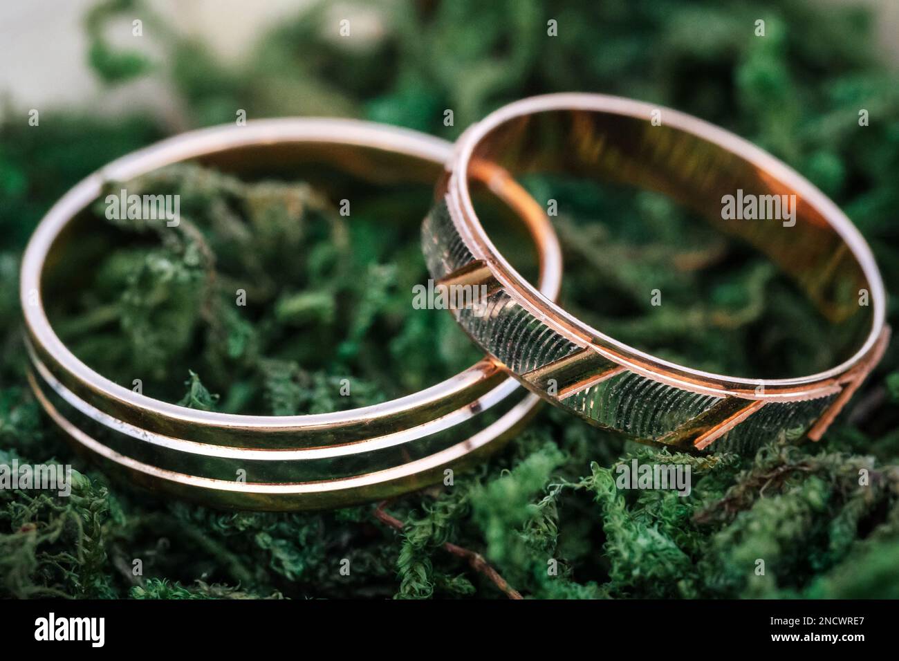 Wedding rings lying on green grass Stock Photo