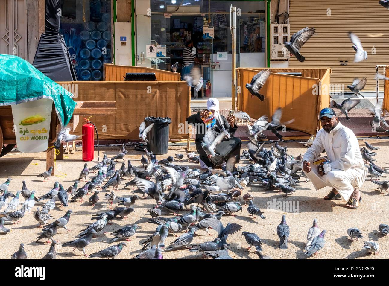 Pigeons Feeding Time Stock Photo