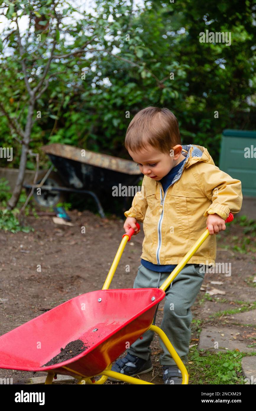 Little boy playing with wheelbarrow in the garden Stock Photo - Alamy