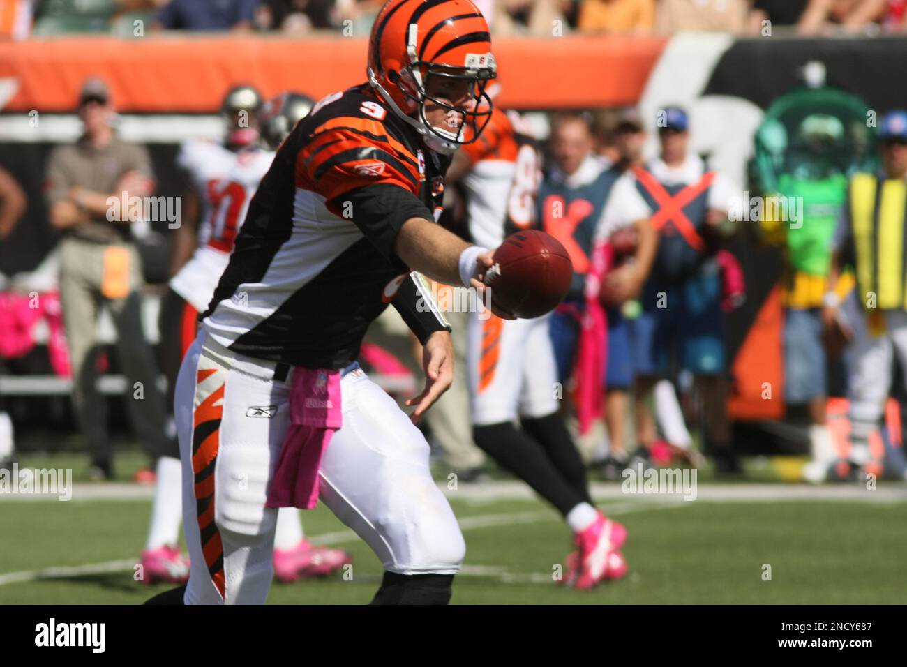 Cincinnati Bengals quarterback Carson Palmer in action against the New  Orleans Saints in the first half of an NFL football game, Sunday, Dec. 5,  2010, in Cincinnati. (AP Photo/David Kohl Stock Photo 