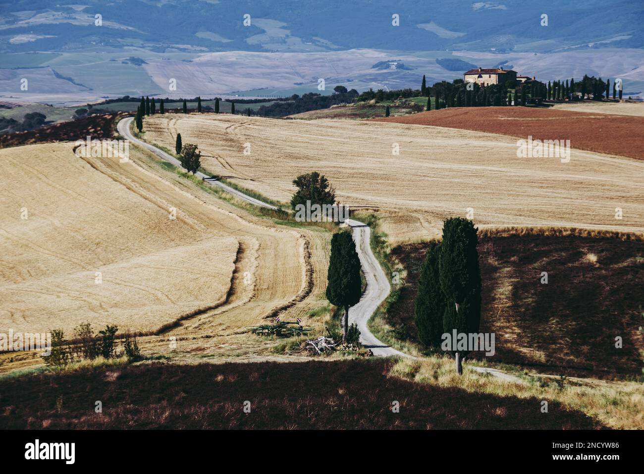 The country road leading to the farm where the scene for the movie Gladiator was filmed in