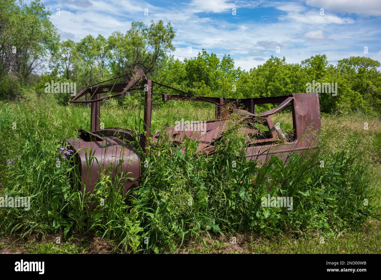 The rusty, metal frame of an antique car sits in a field of overgrown grass on a summer day with cumulus clouds in the sky. Stock Photo