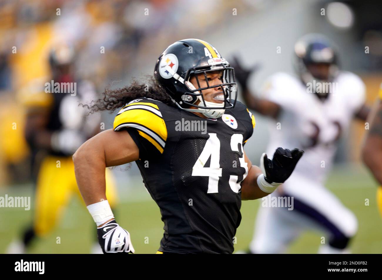Pittsburgh Steelers strong safety Troy Polamalu (43) during a time-out in  the first quarter of an NFL football game against the Baltimore Ravens on  Sunday, Oct. 20, 2013, in Pittsburgh. The Steelers