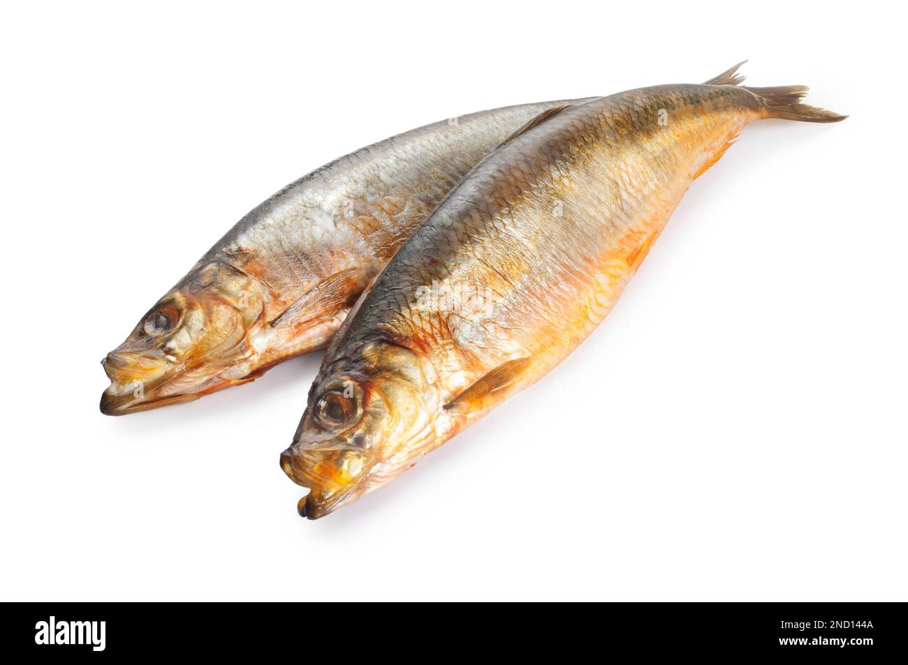 Studio shot of naturally smoked kippers cut out against a white background - John Gollop Stock Photo