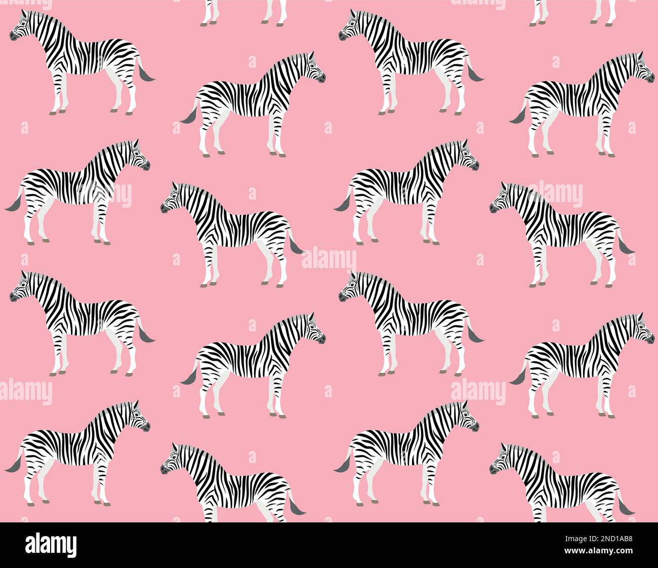Vector seamless pattern of flat zebra isolated on pink background Stock ...