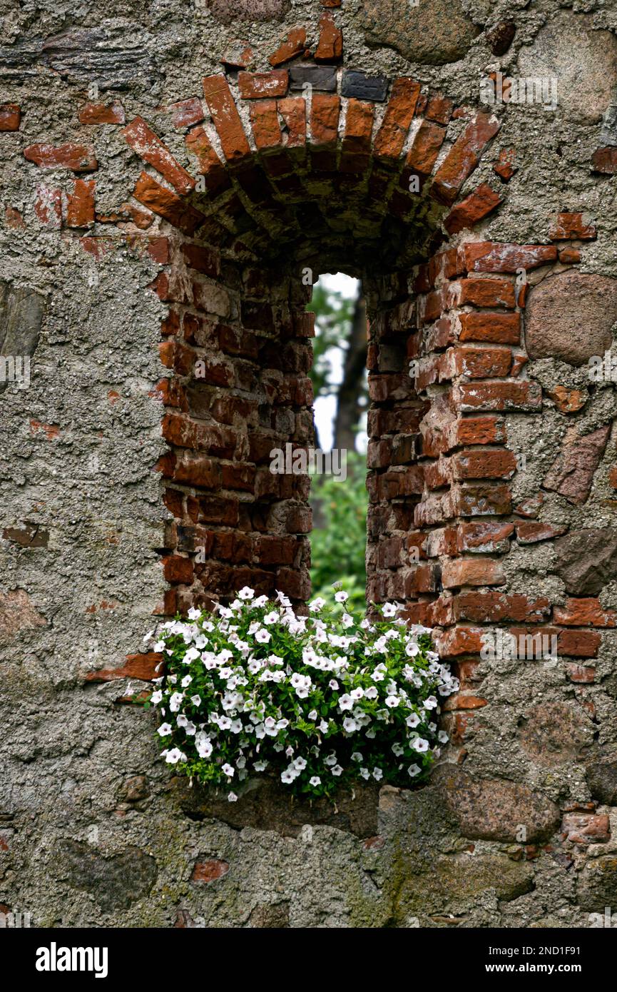 Beautiful decoration of an old window in an old manor with white ...