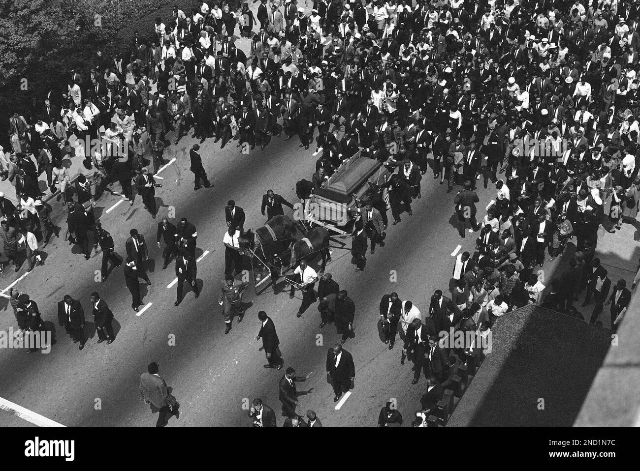 The muledrawn casket of Dr. Martin Luther King Jr. leads thousands of