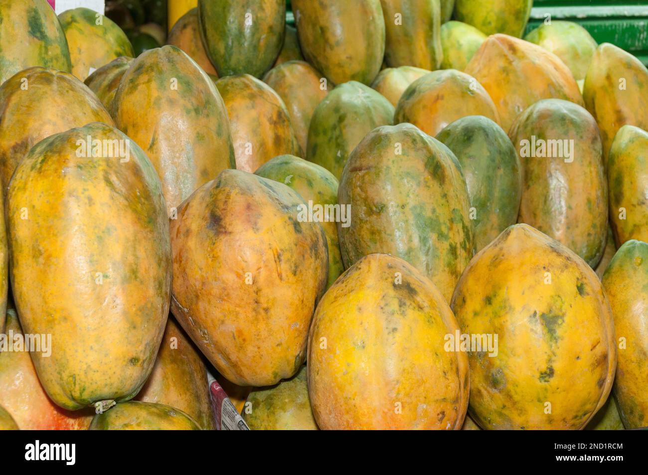 Papaya fruit in supermarket Scientific name Carica papaya Stock