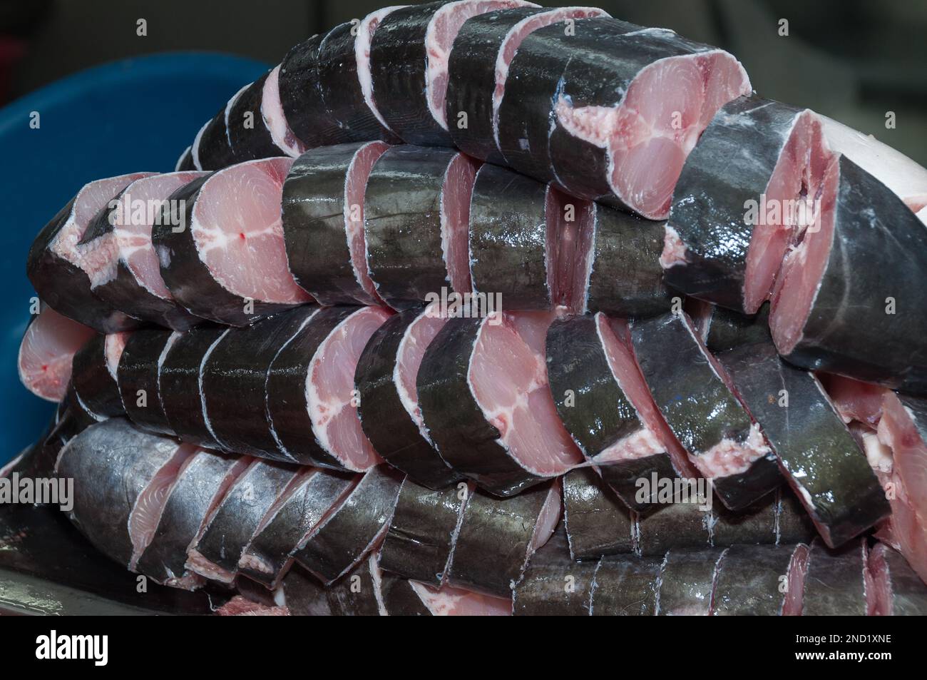 Fish, seabass basa (Pangasius bocourti). Stock Photo