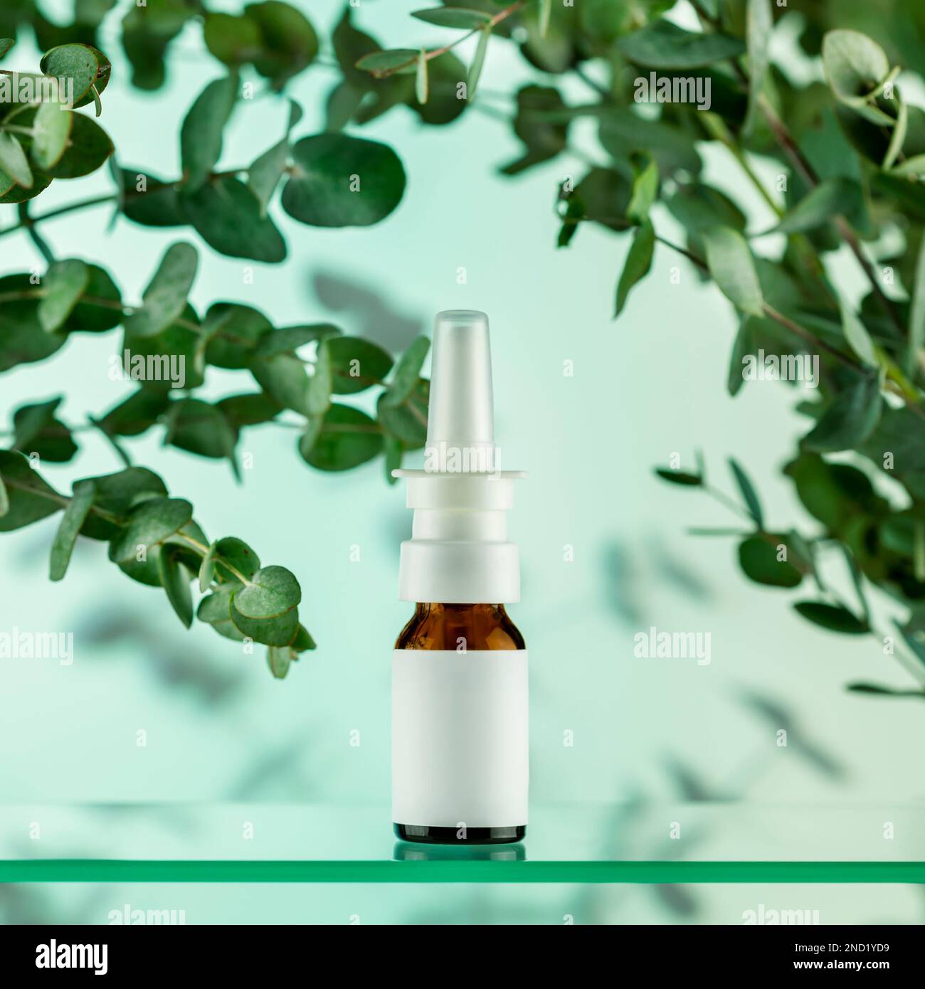 Organic eucalyptus moisturizing nasal spray with fresh eucalyptus leaves on glass shelf on blue background. A natural remedy for nasal congestion and Stock Photo