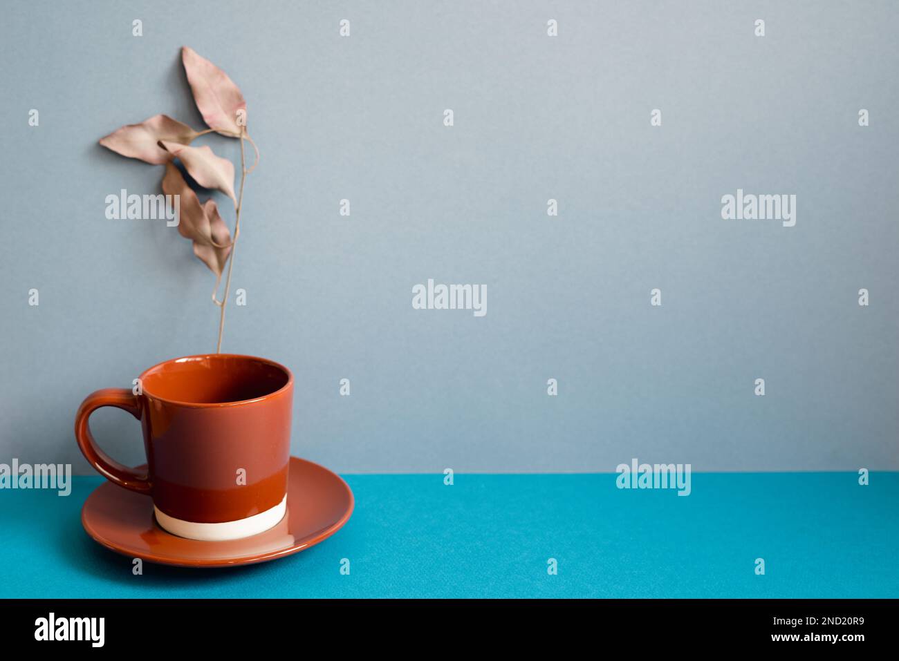 Brown coffee cup and plant on blue table Stock Photo