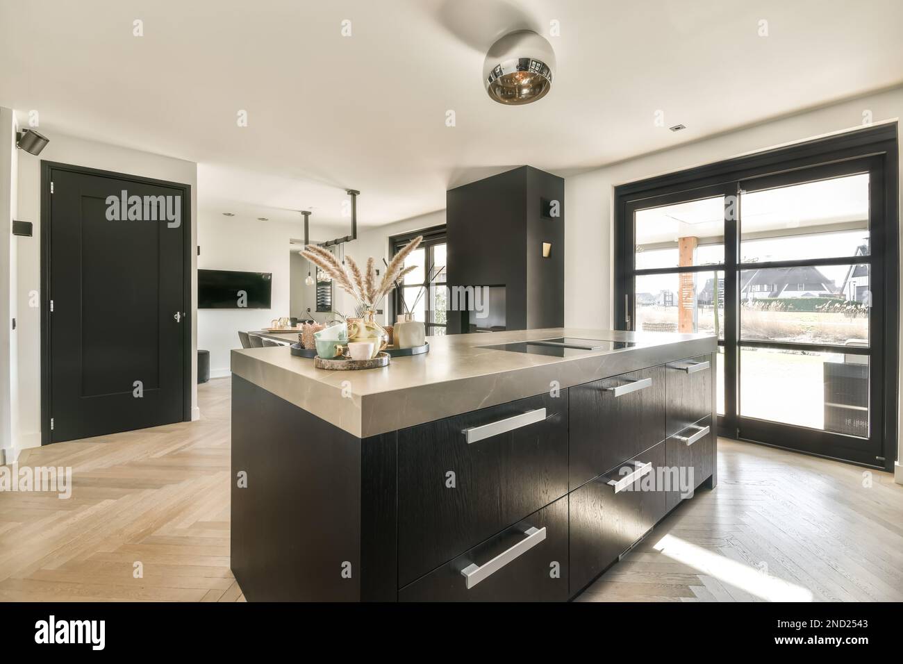 Interior design of contemporary spacious kitchen with black cupboards
