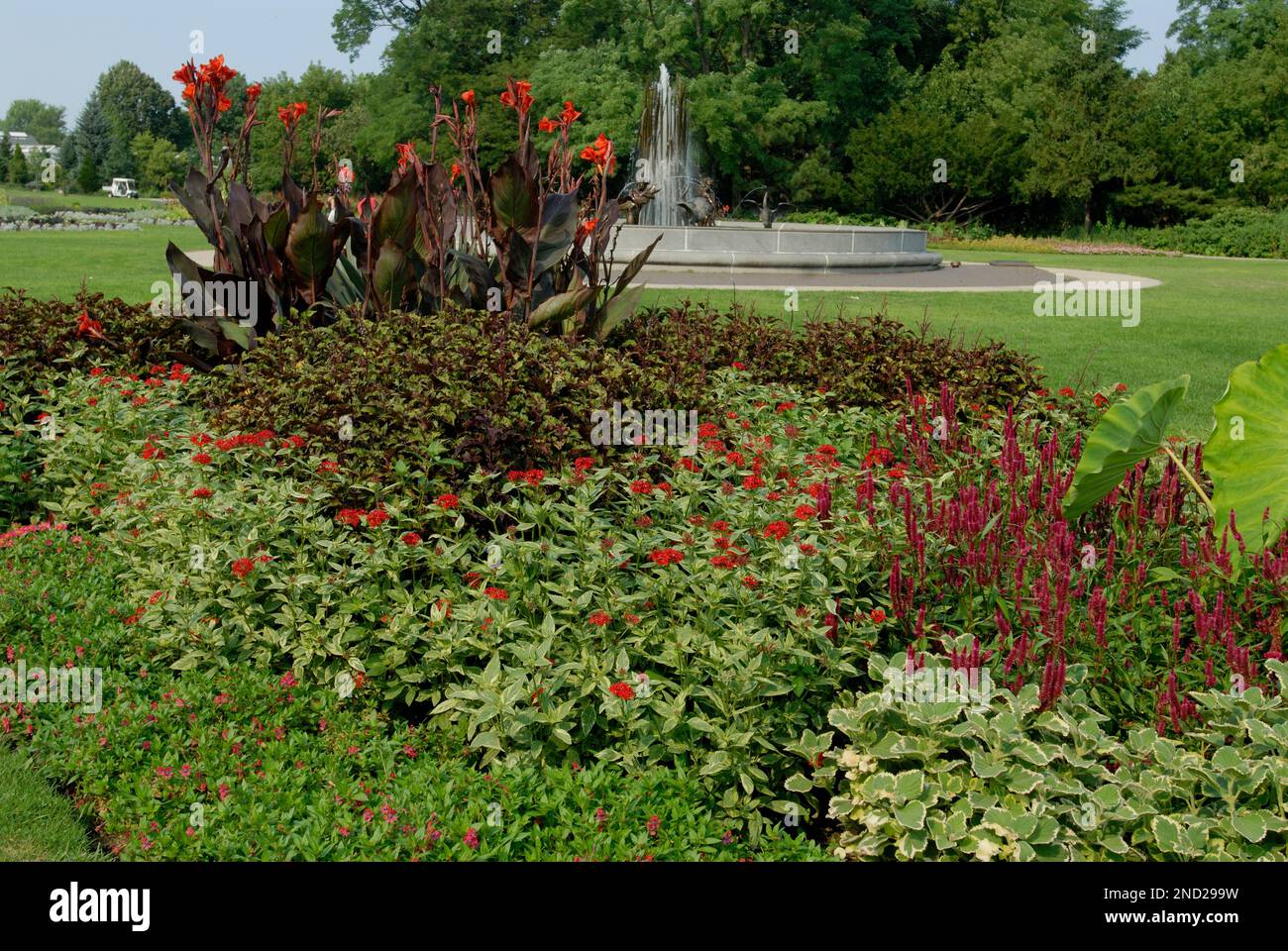 Lincoln Park Butterfly Garden, Chicago, Illinois Stock Photo Alamy