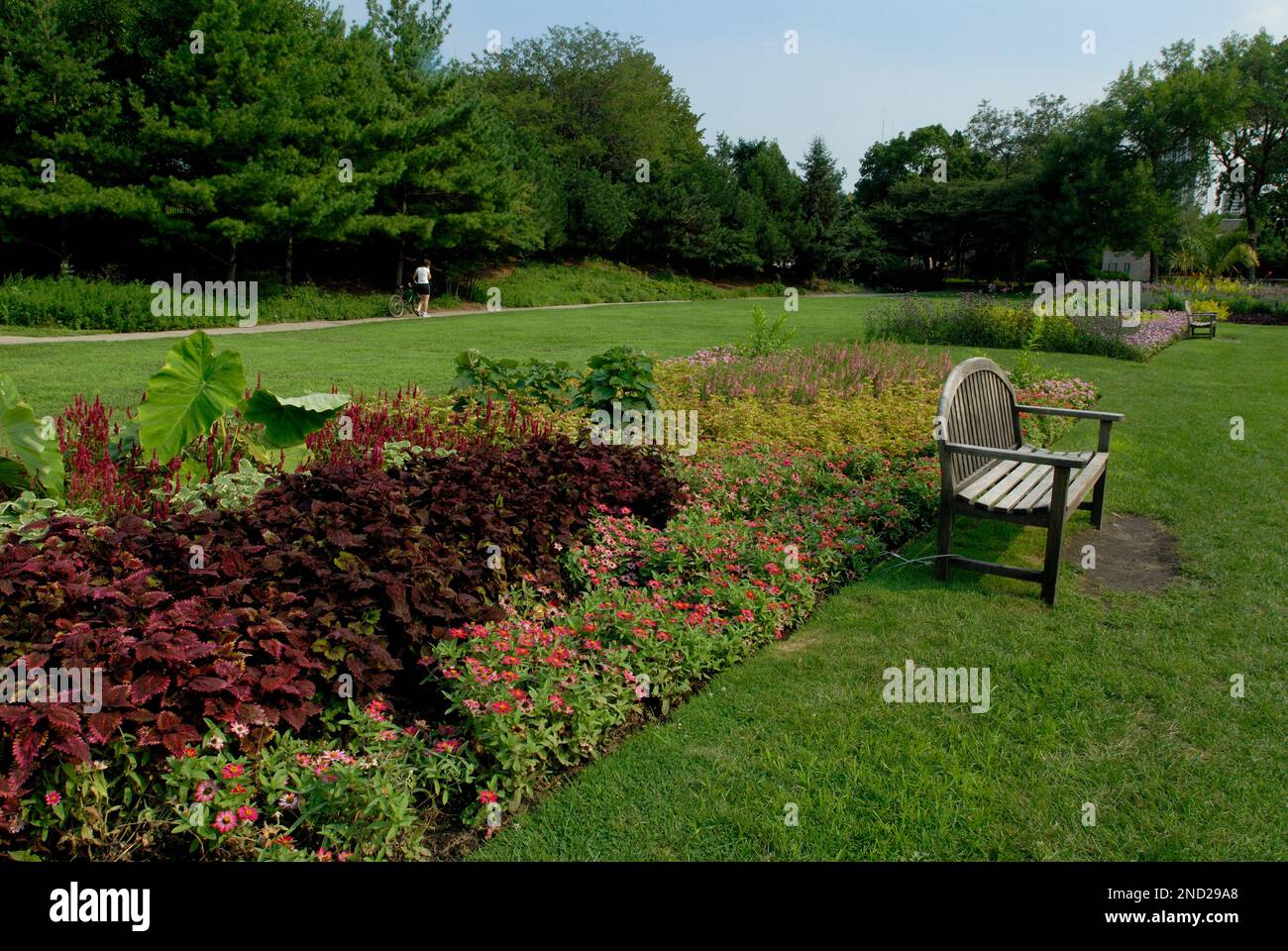 Lincoln Park Butterfly Garden, Chicago, Illinois Stock Photo Alamy