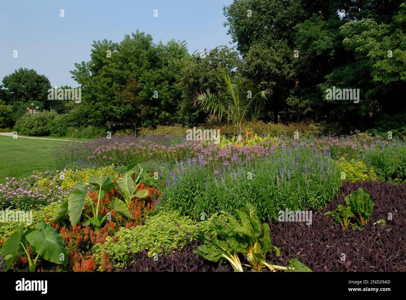 Lincoln Park Butterfly Garden, Chicago, Illinois Stock Photo Alamy