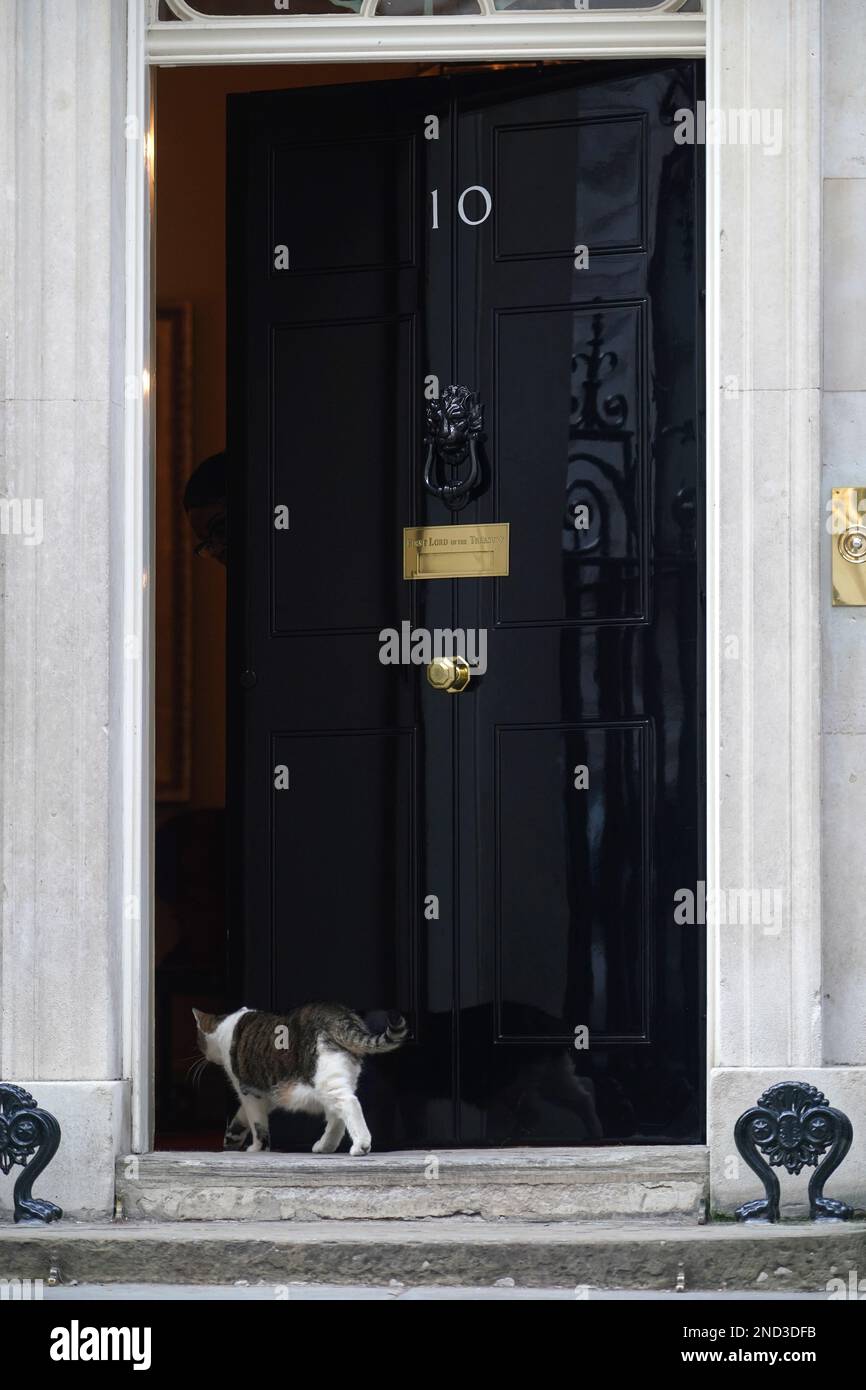 Larry the cat, in Downing Street, London, on the 12th anniversary of