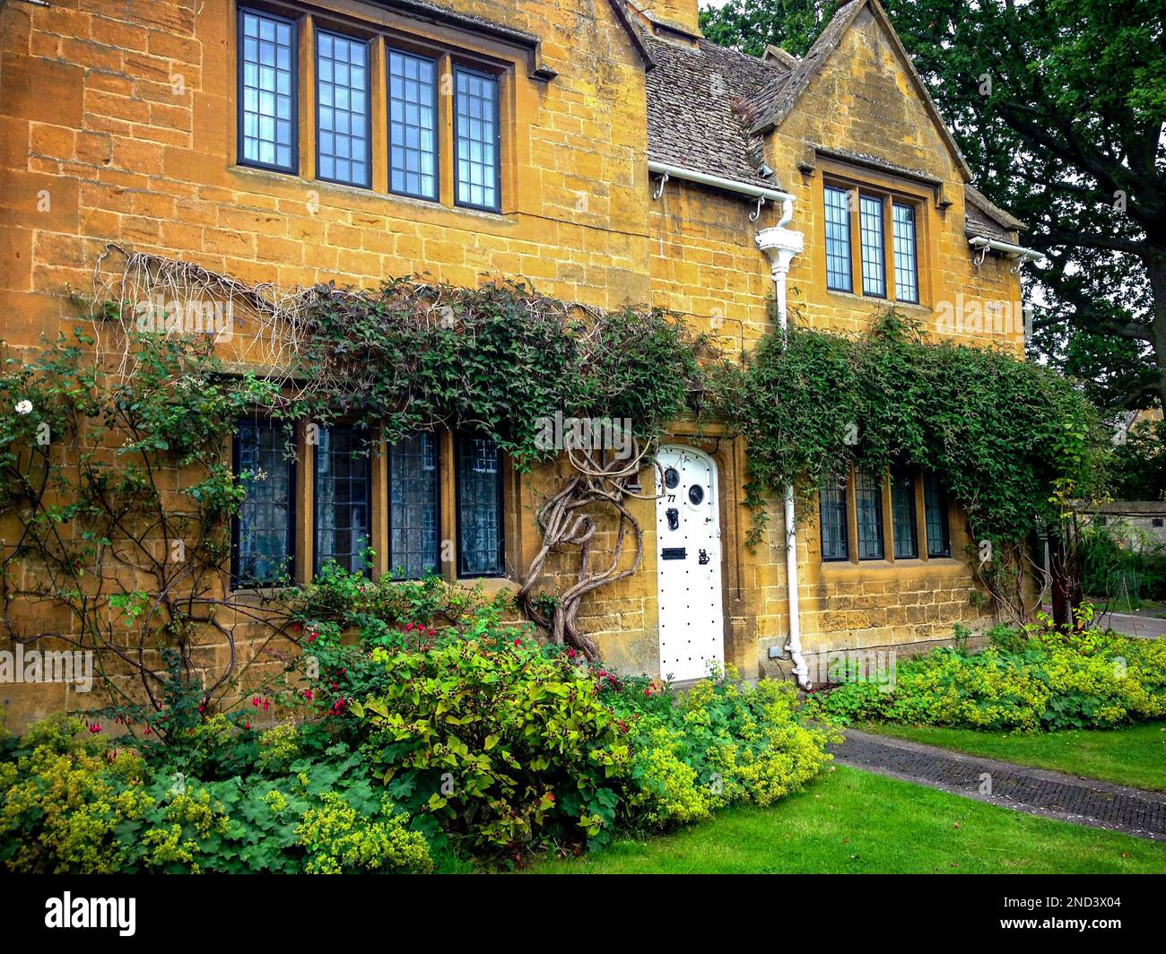 Cottage Garden in Cotswolds Village of Broadway, Garden Path, Overgrown Garden, Beautiful Front Garden, British Gardens, English Countryside, UK Stock Photo