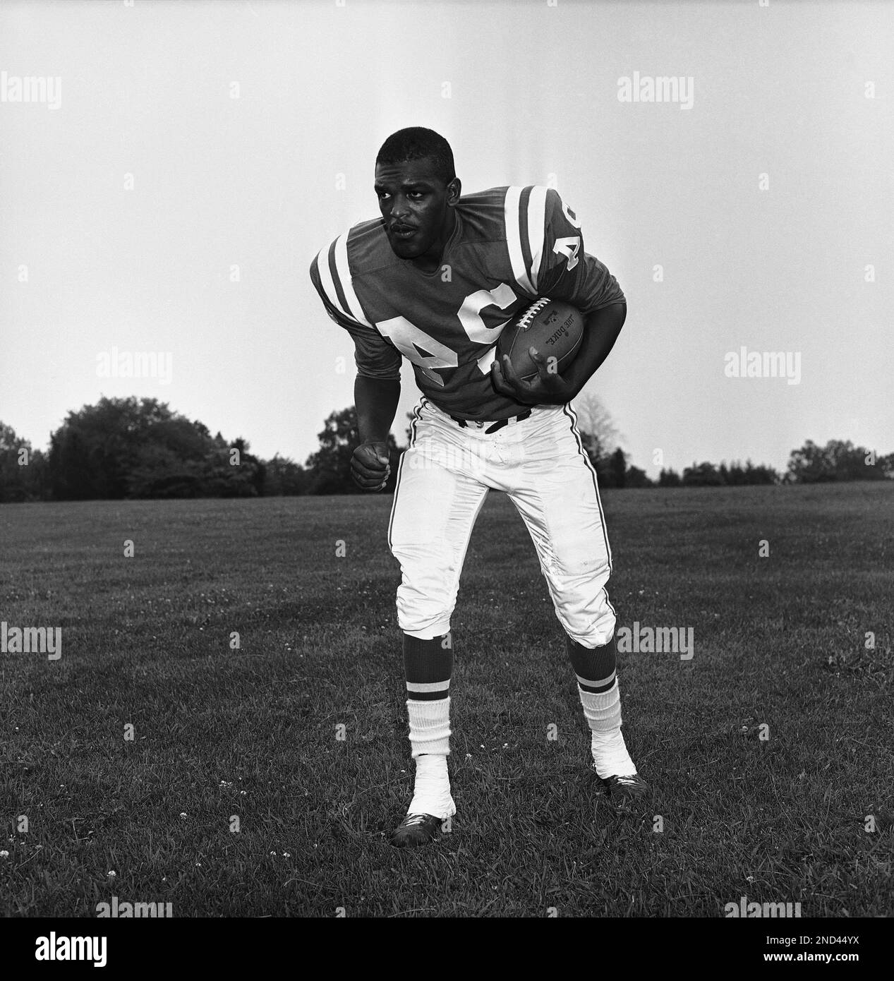 Lenny moore best sale jersey