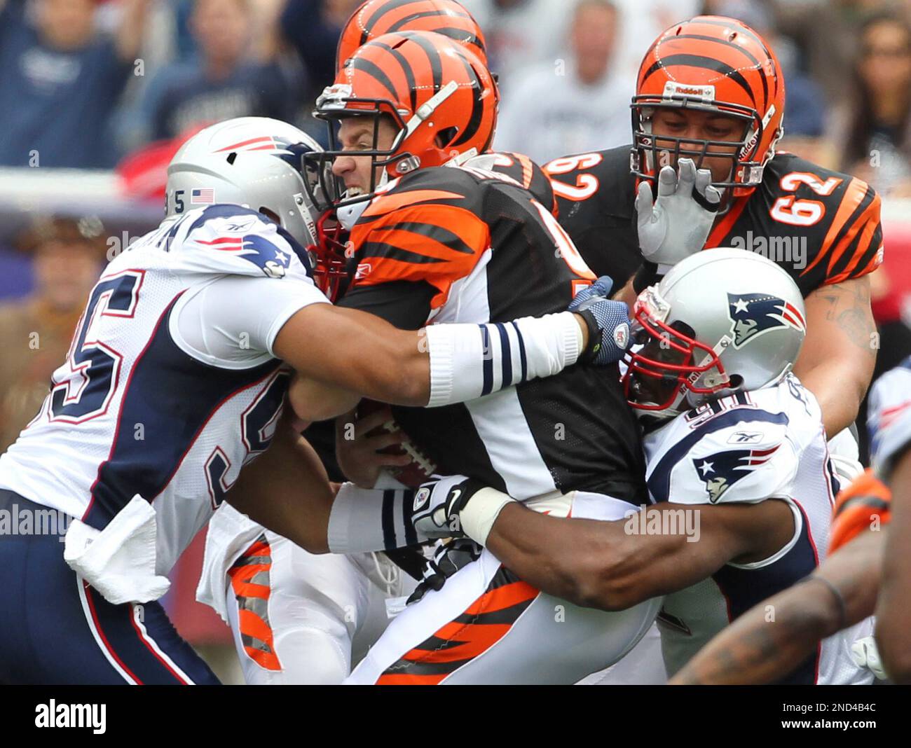 Cincinnati Bengals quarterback Carson Palmer in action against the