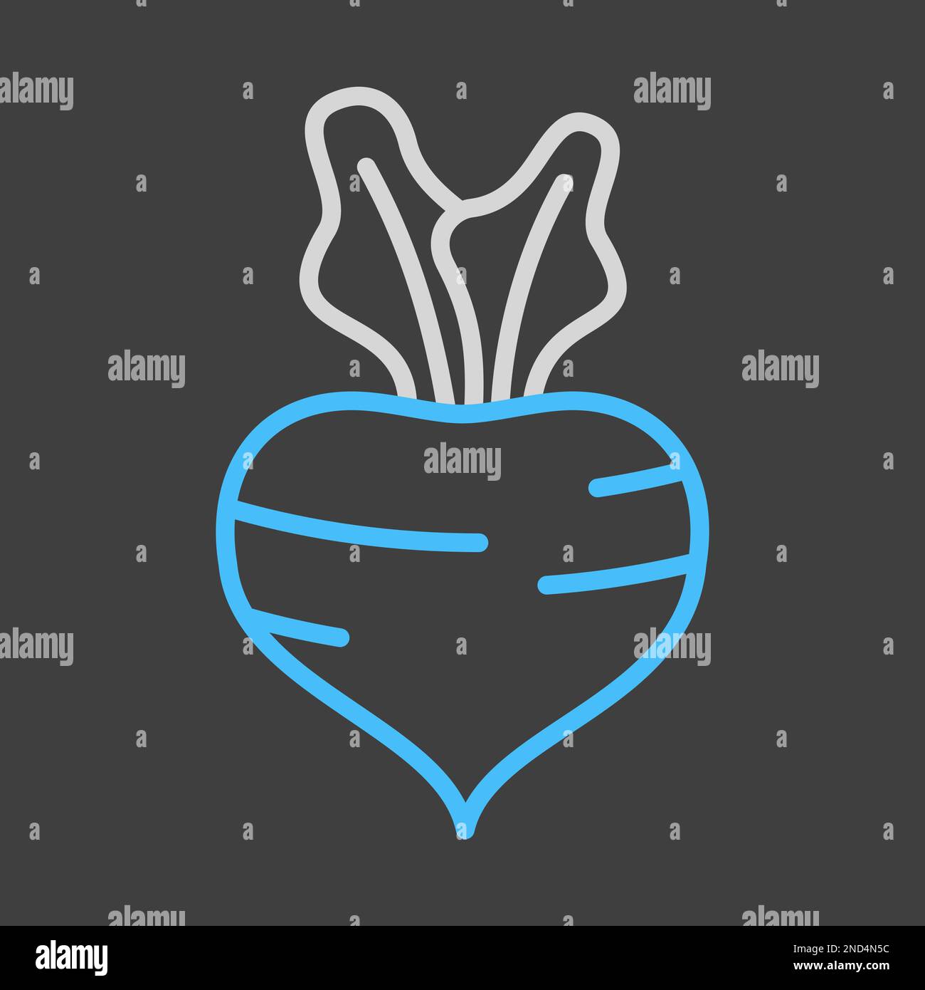 Beetroot isolated vector on dark background icon. Vegetable sign. Graph ...