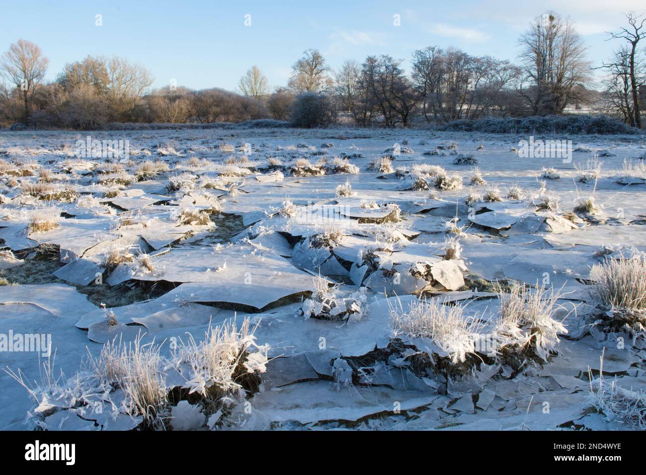 collapsed ice, field flooded and then froze, water drained away leaving suspended ice which then collapsed, in field, Cowdray Ruins, Sussex, Stock Photo