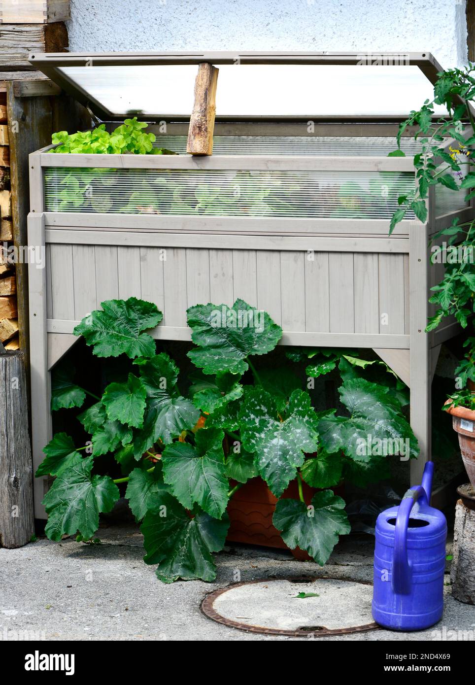 cold frame, hotbed garden, Traditional wooden cold Frames for plants