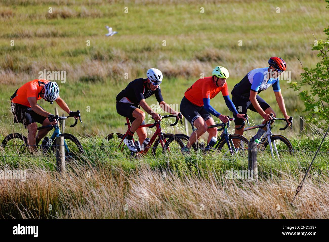 Group of cyclists on mountain bikes cycling in a rural setting Stock Photo