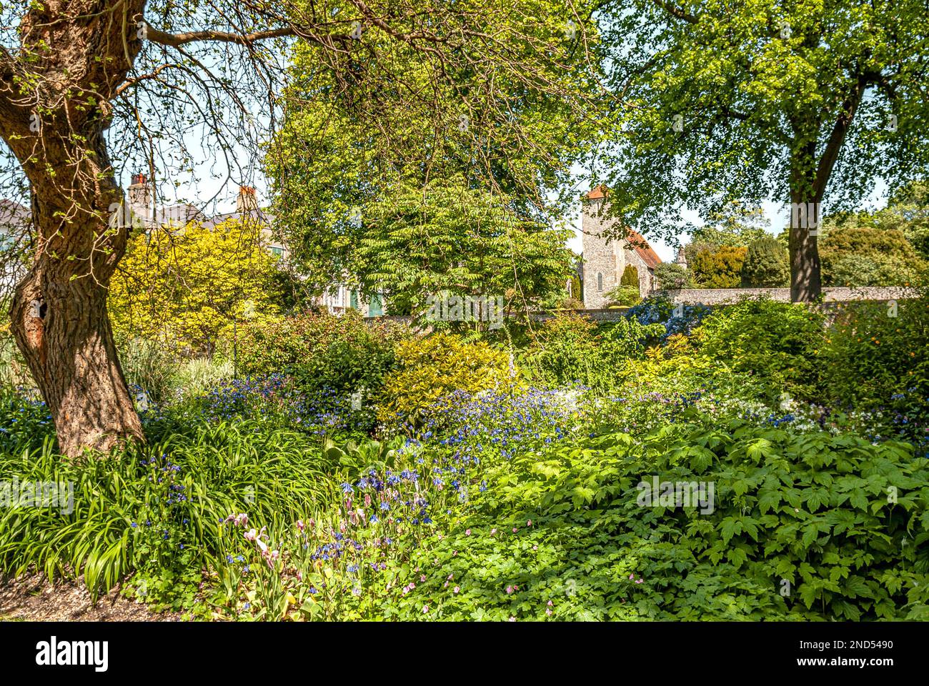 Garden of Preston Manor, a historical 17th Century Mansion in Brighton, East Sussex, South England Stock Photo