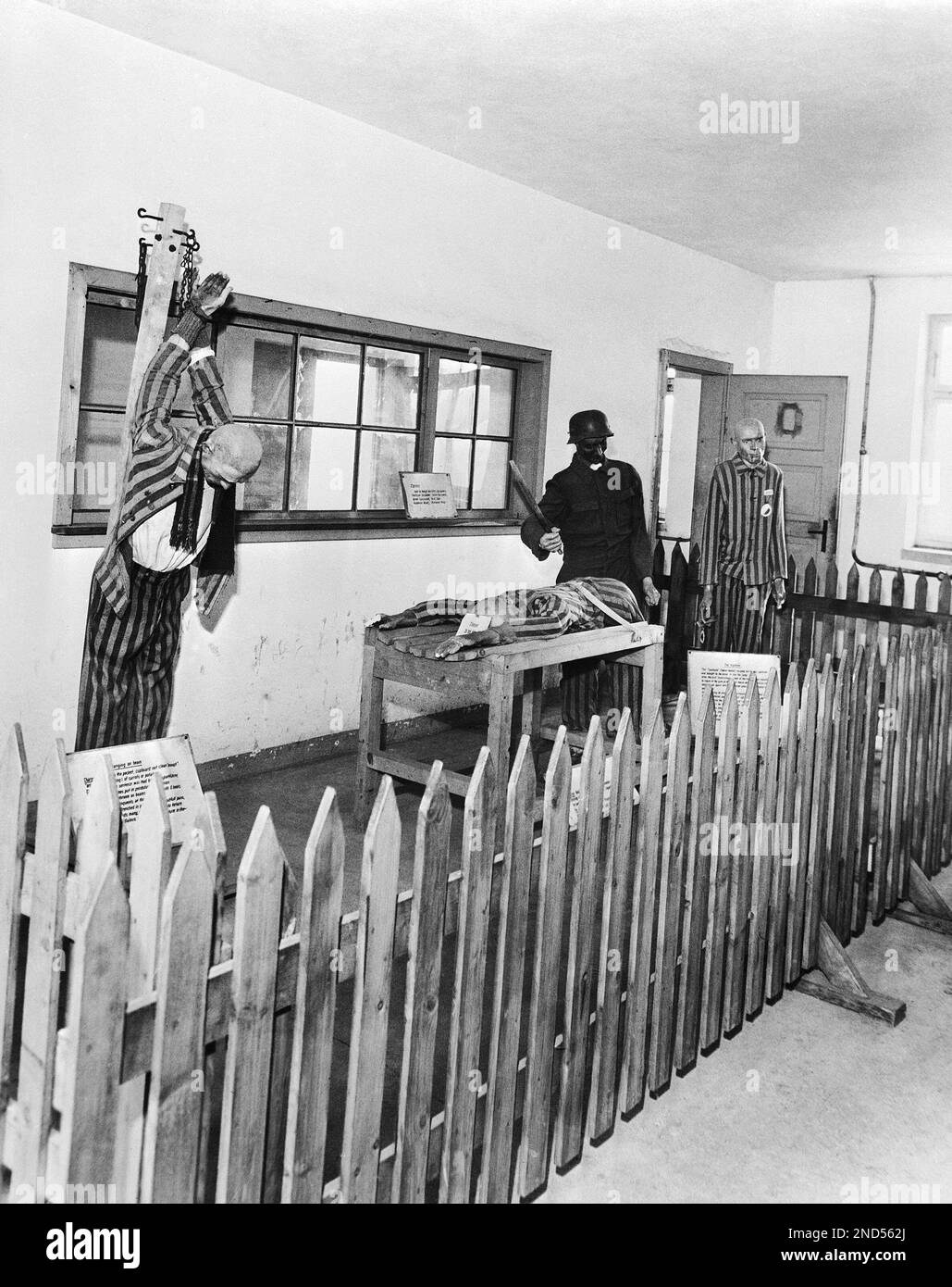Exhibit in a room of the crematory building of the Dachau camp in 1949
