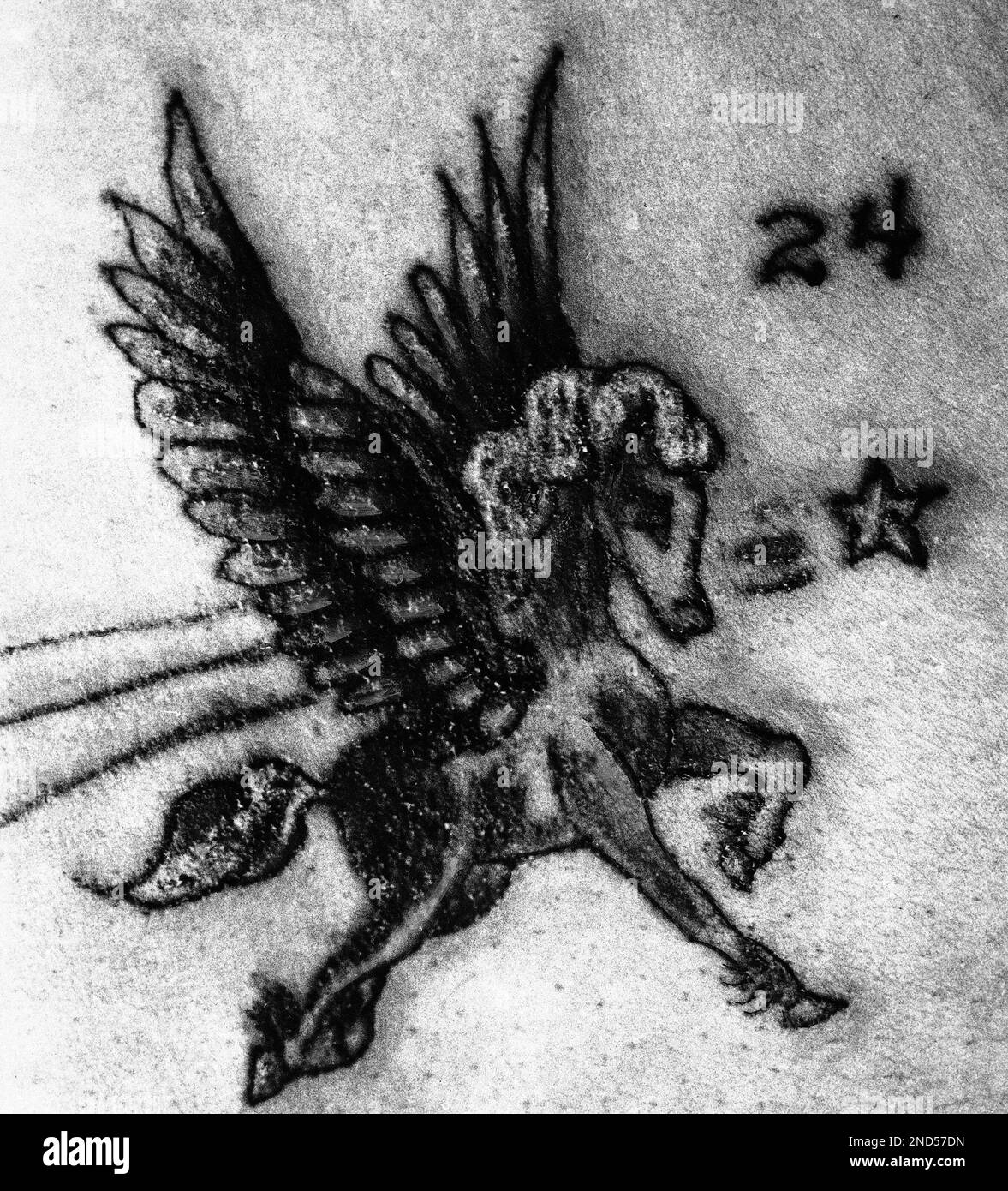 Buddy’s Tattoo Shop in Newport, Rhode Island, opens around a 7 p.m