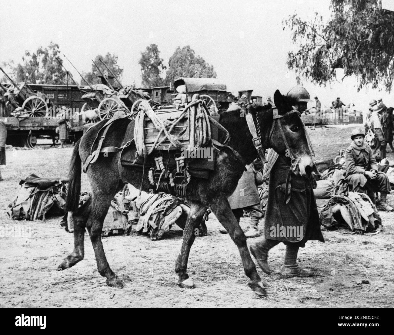 Despite the emphasis on mechanized equipment in World War II, the Army