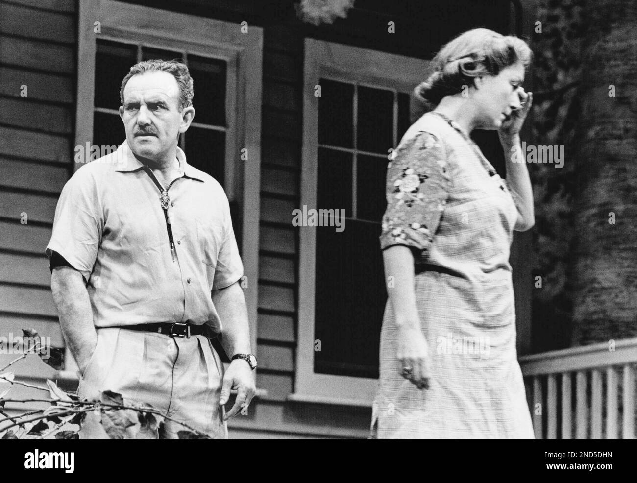 Colin Blakely (Joe Keller), Rosemary Harris (Kate Keller) in ALL MY