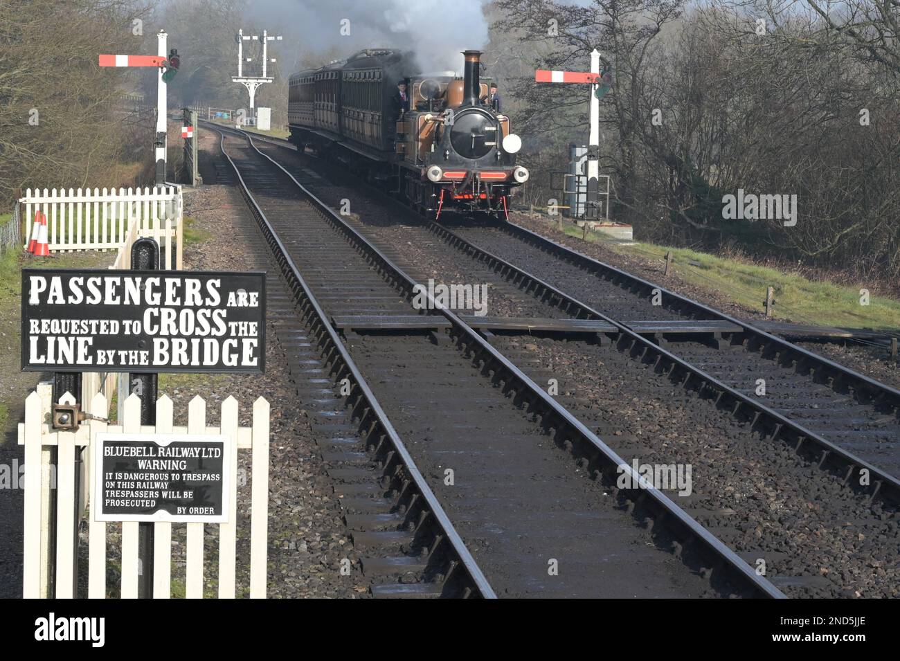 Fenchurch a Terrier locomotive pulling a passenger train on The Bluebell railway. Stock Photo