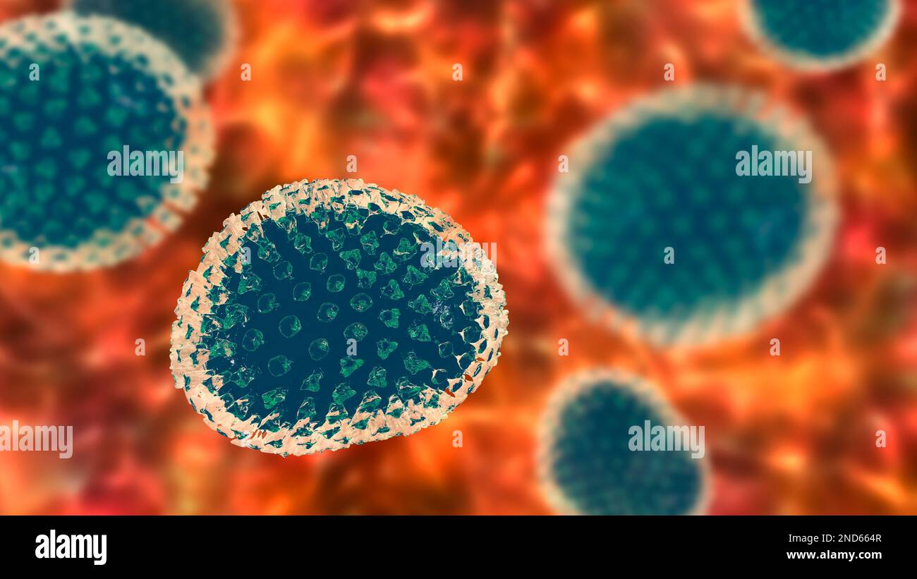 Flu viruses, computer illustration. Each virus consists of a core of RNA (ribonucleic acid) genetic material surrounded by a protein coat. Embedded in Stock Photo