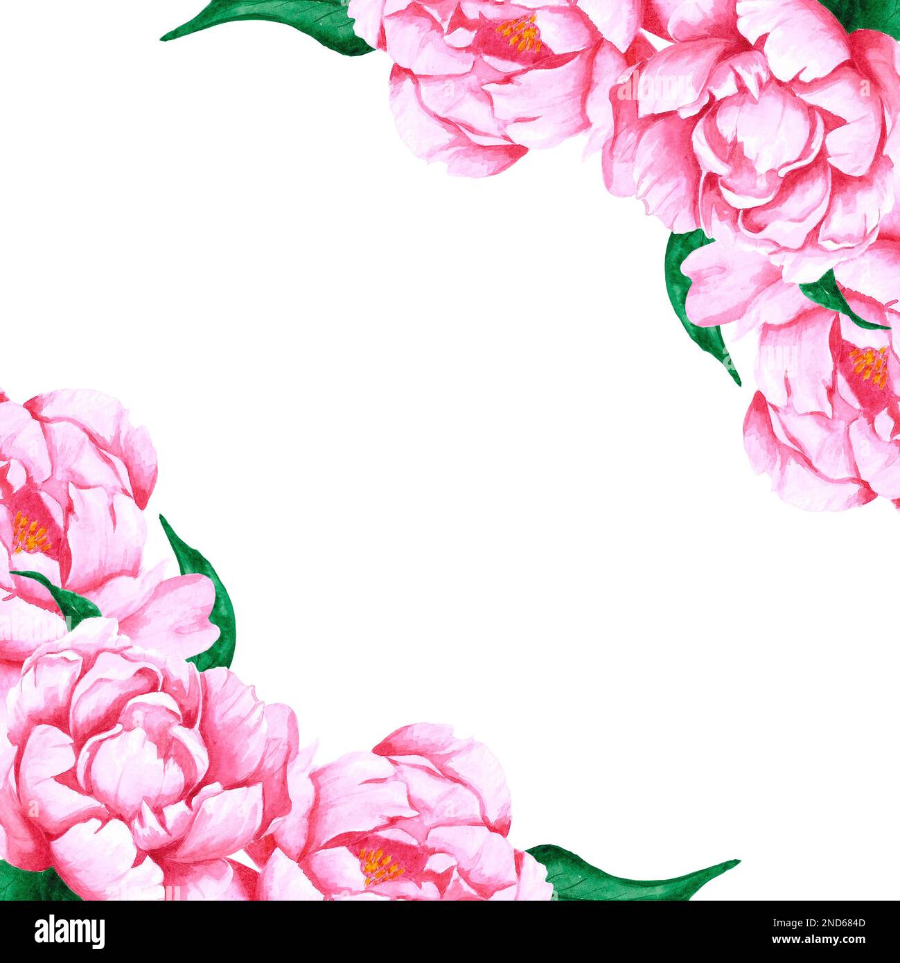 Handdrawn Watercolor pink peony flowers frame with green leaves and ...