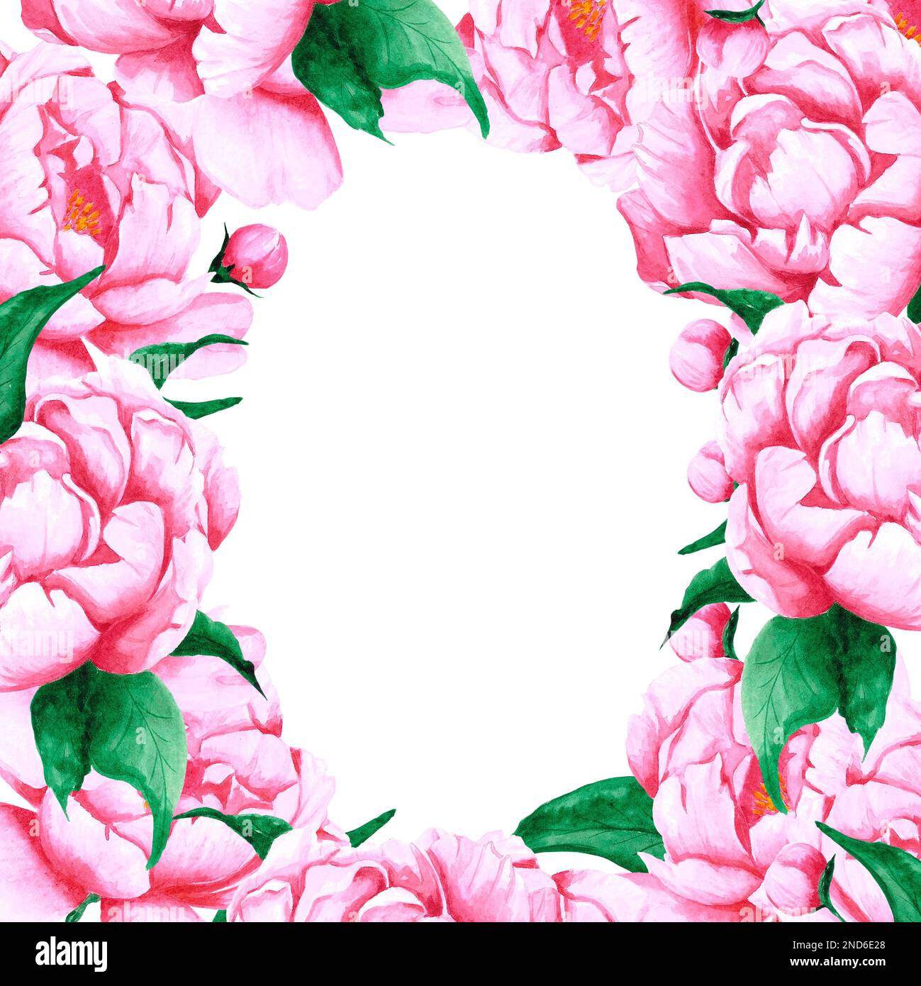 Handdrawn Watercolor pink peony flowers frame with green leaves and ...
