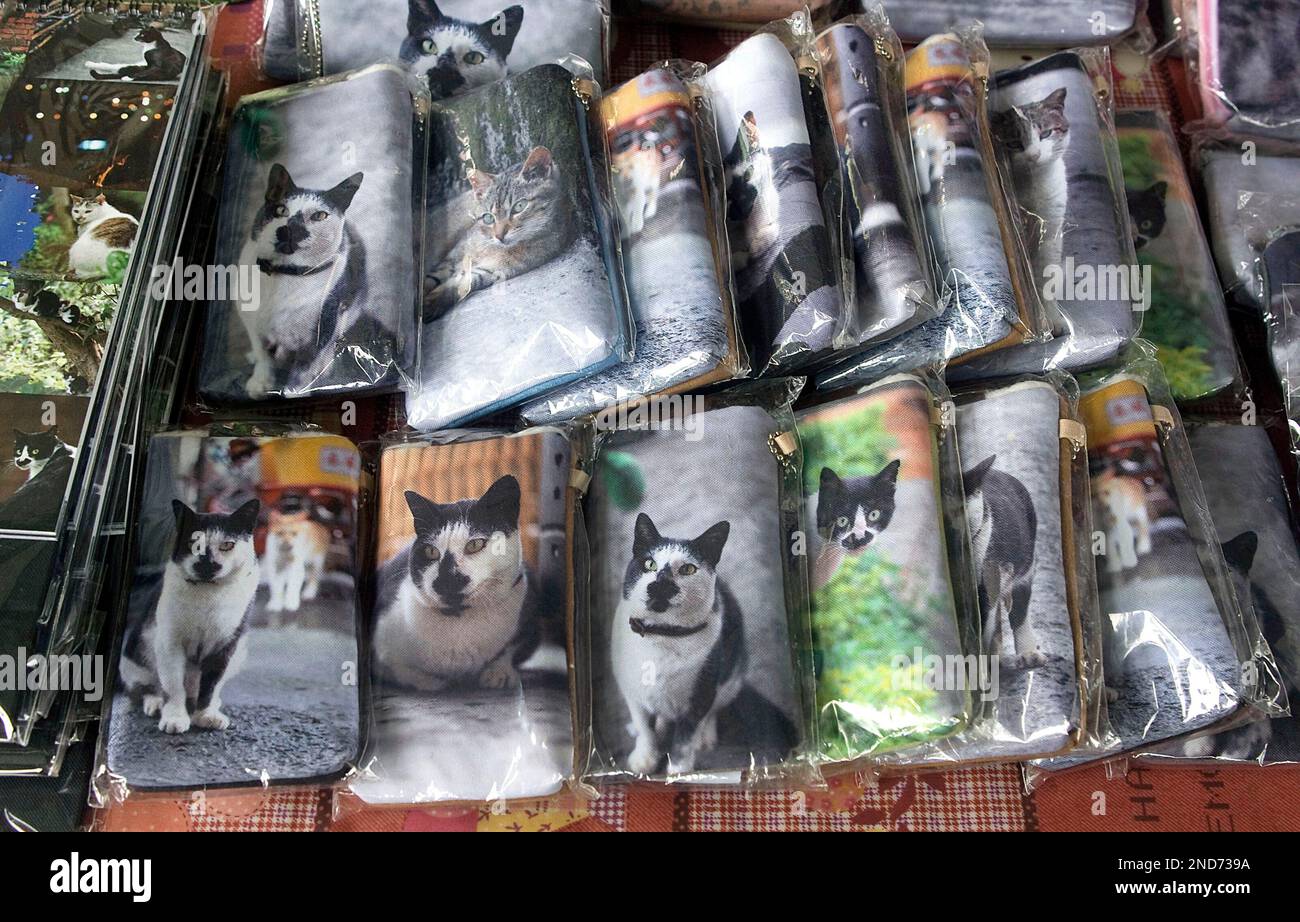 In this image made Sunday, Aug. 29, 2010, cat souvenirs are on display