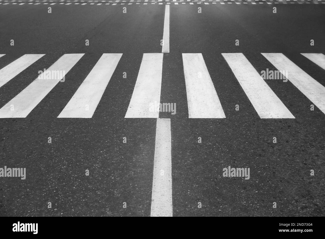 White pedestrian crossing on empty city street Stock Photo - Alamy