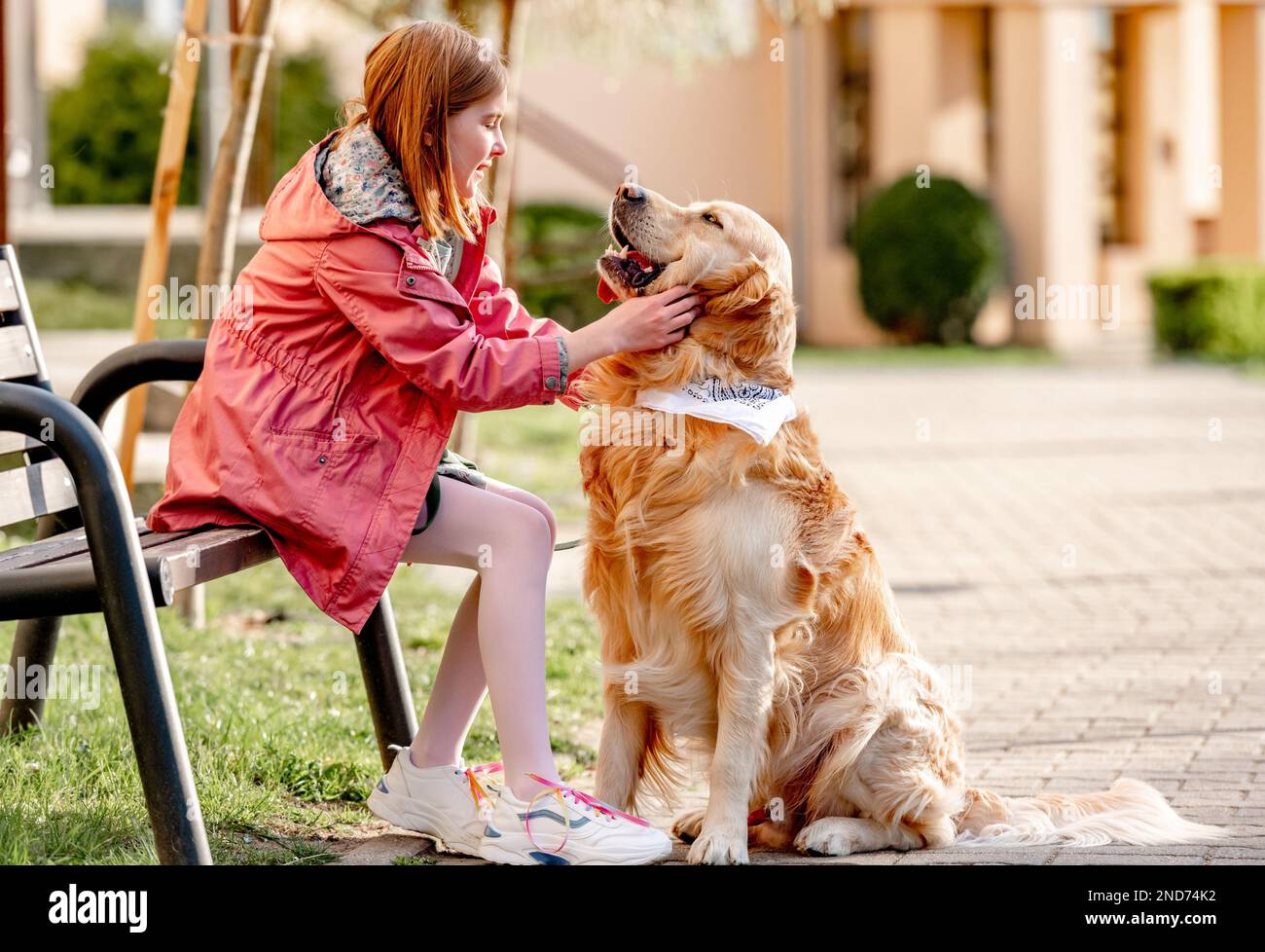 Girl with golden retriever dog Stock Photo - Alamy