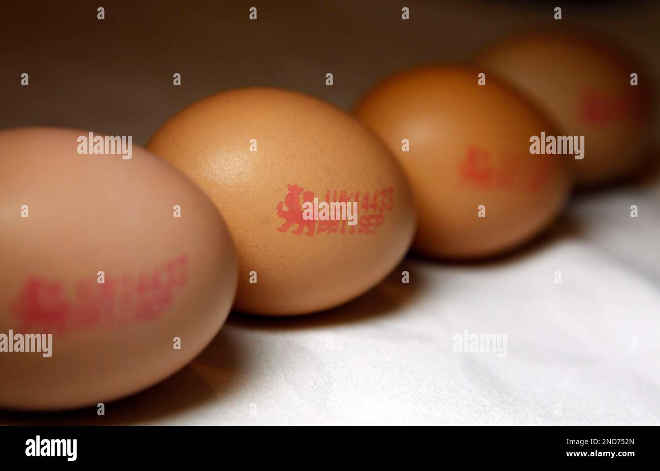 FILE In this Aug. 24, 2010 file photo, eggs with the British Lion