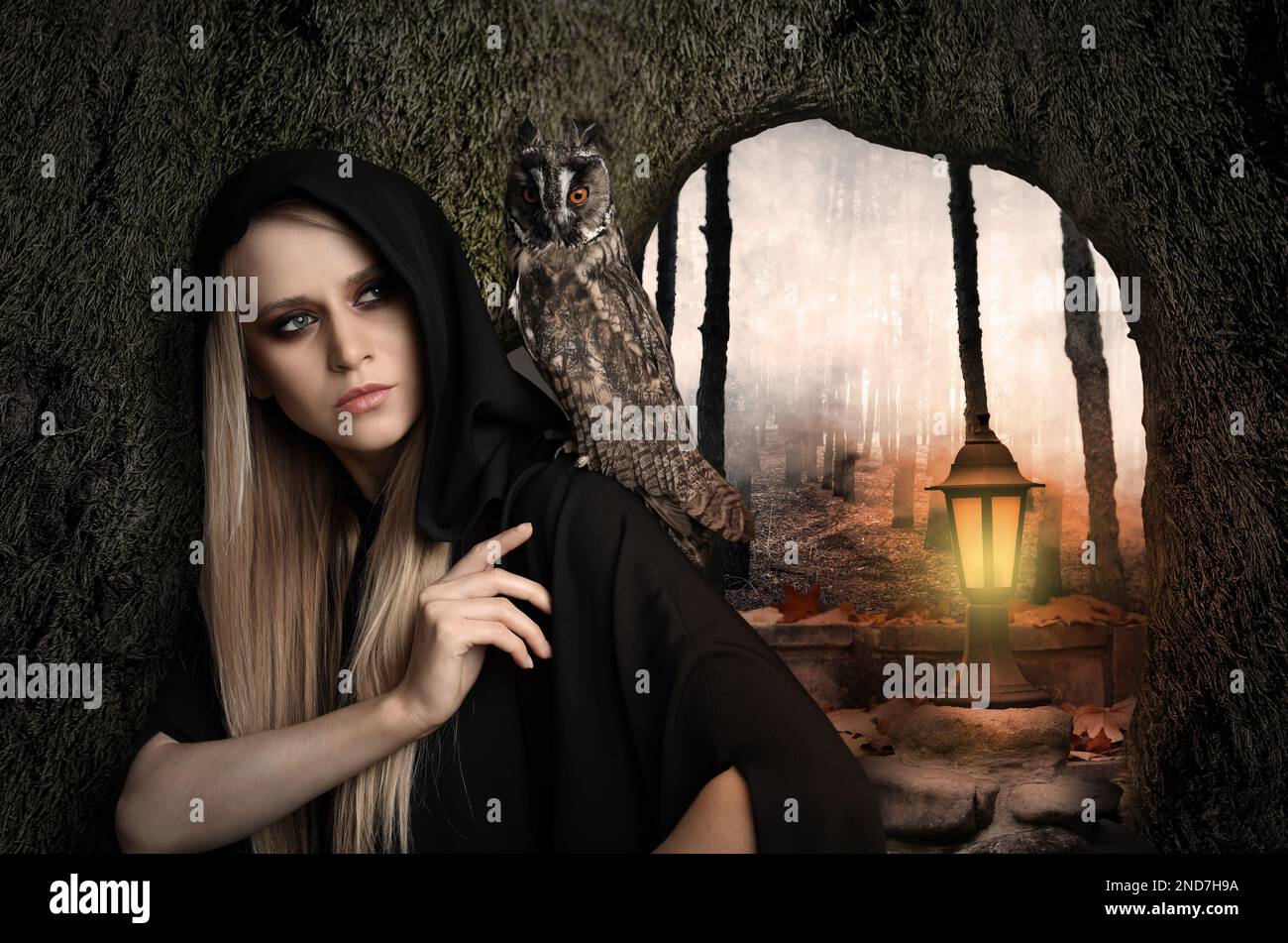Witch wearing black mantle with owl in foggy forest. Fantasy world Stock Photo
