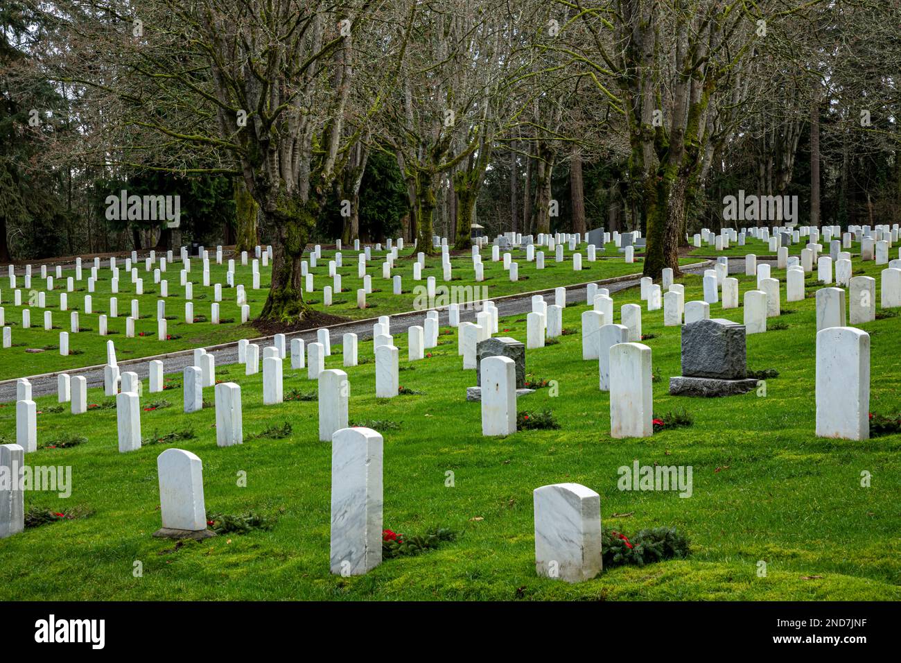 WA22982-00...WASHINGTON - Grave stones and Christmas wreaths at Fort Lawton Post Cemetery located next to Discovery Park in Seattle. Stock Photo