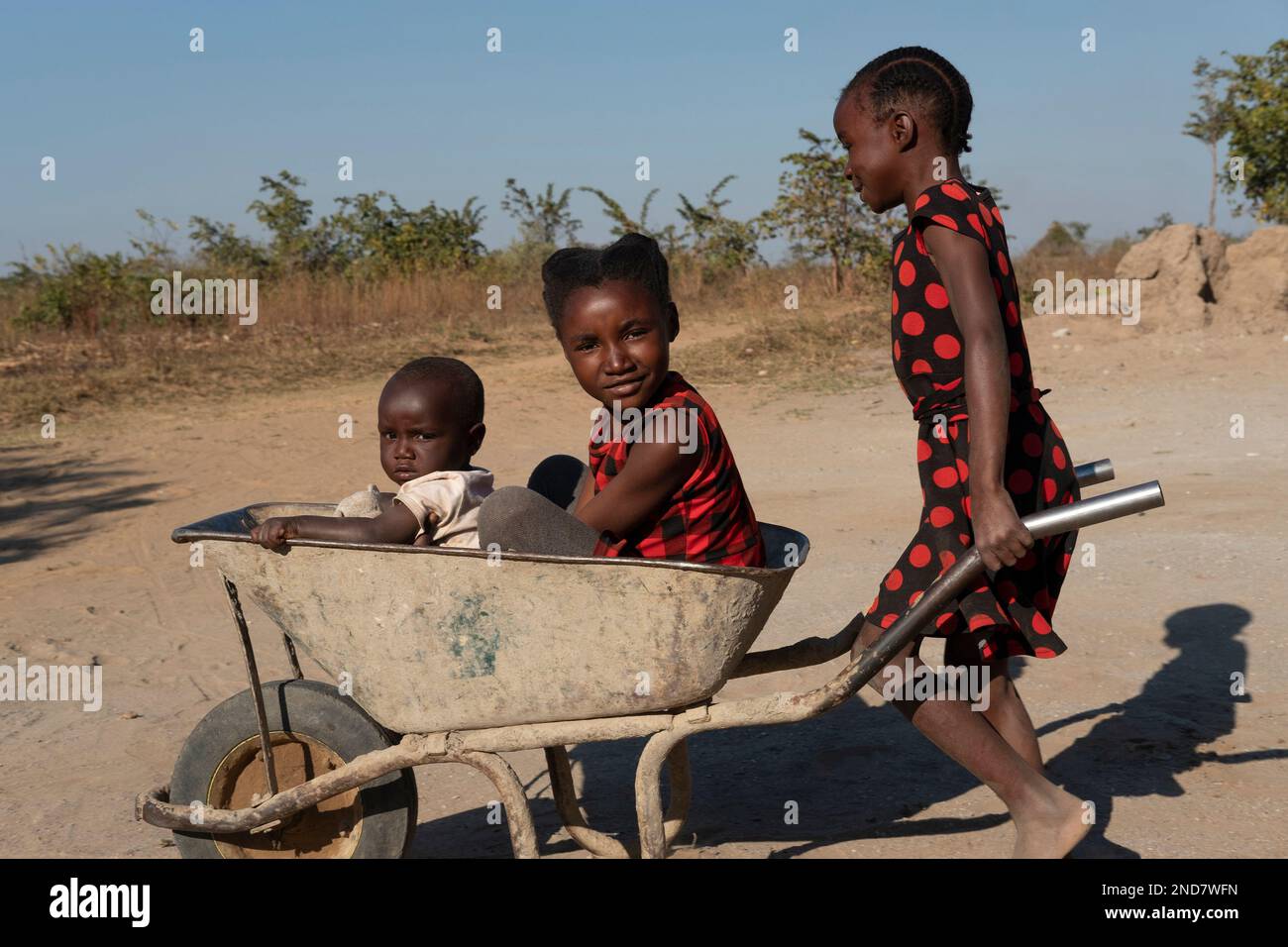Young girl pushing her friends in a wheelbarrow Stock Photo - Alamy